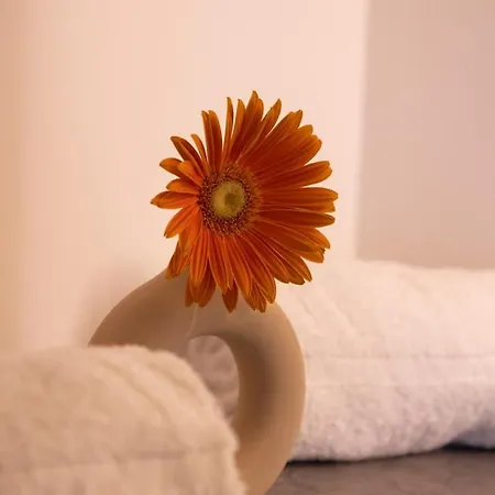 Lieblingsquartier 9 * Sankt Andreasberg