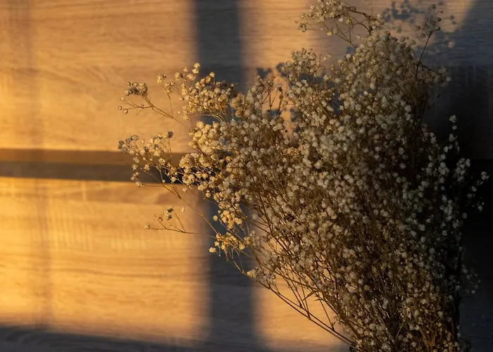 Lieblingsquartier 9 *